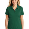 Port Authority Women's Dry Zone UV Micro-Mesh Polo. LK110 - Thumbnail Image 43